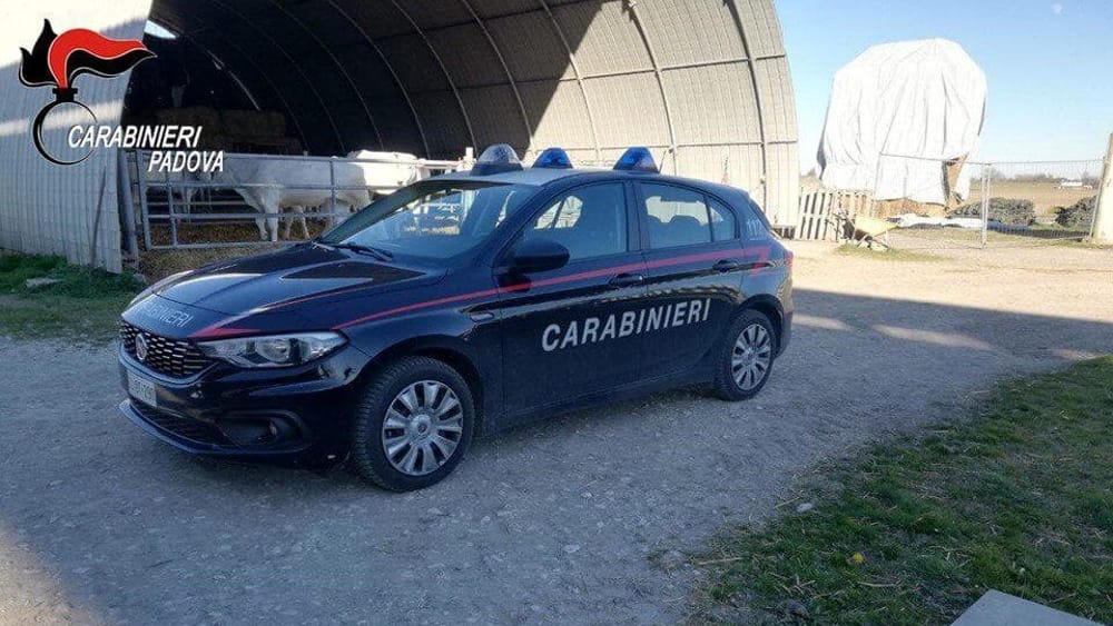 Stanghella: operaio non rientra a pranzo, trovato morto in un piazzale