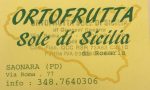 I negozi che consegnano la spesa a domicilio a Padova e Saonara: Ortofrutta sole di Sicilia