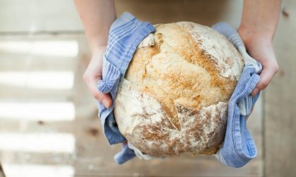 I negozi che consegnano la spesa a domicilio a Cadoneghe: La Boutique del pane