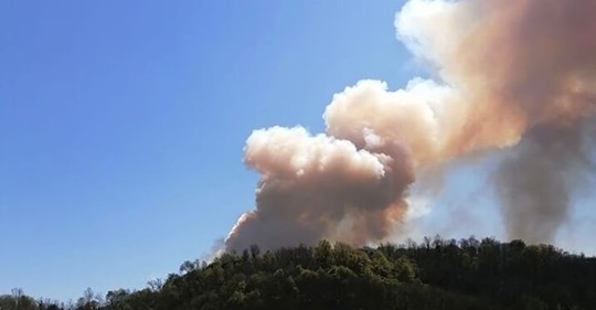 Fiamme sui colli Euganei, incendio contenuto a fatica dai vigili del fuoco