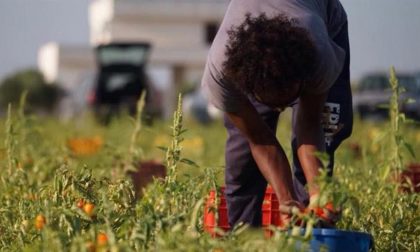Sanatoria immigrati Bellanova, un doppio “no” dal Veneto: “Servono i voucher”