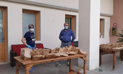 Camposampiero, la Festa della Fragola non si ferma nonostante il Covid
