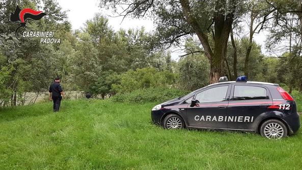 Ragazzino affoga nel Brenta, dramma a Grantorto