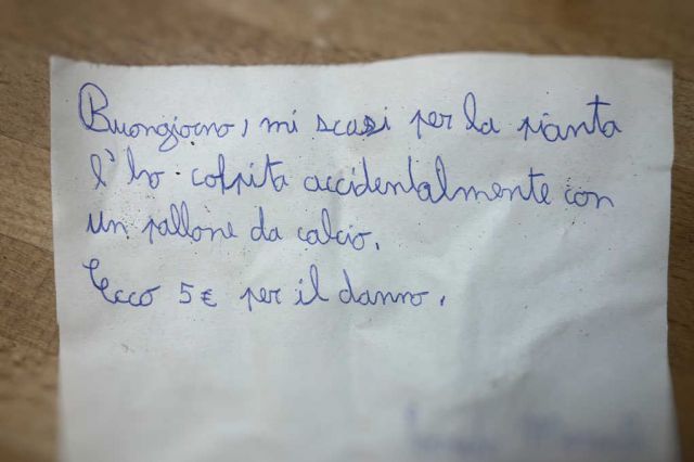 Rompe la pianta del vicino con una pallonata: bambino scrive una lettera di scuse e risarcisce il danno