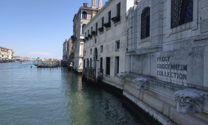 Collezione Peggy Guggenheim: 400 ingressi nel giorno della riapertura. Karole P. Vail: “Una ventata di energia e ottimismo”