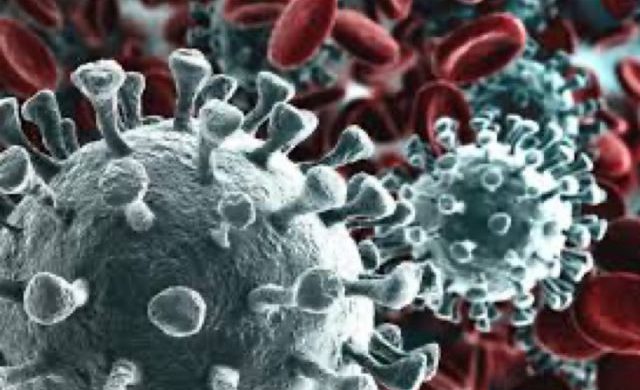 Covid-19 e sistema immunitario: innovativa ricerca dell’Università di Padova