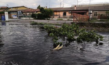 Danni maltempo, colpiti soprattutto vigneti e colture estensive. Pan: "Censimento in corso"