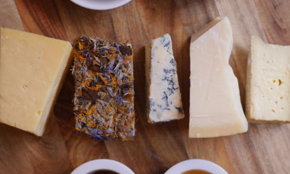 Mangia un formaggio a latte crudo, grave bimbo di un anno