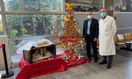 All'ospedale di Piove di Sacco c'è il "face tree", albero di Natale con i volti dei sanitari - Gallery