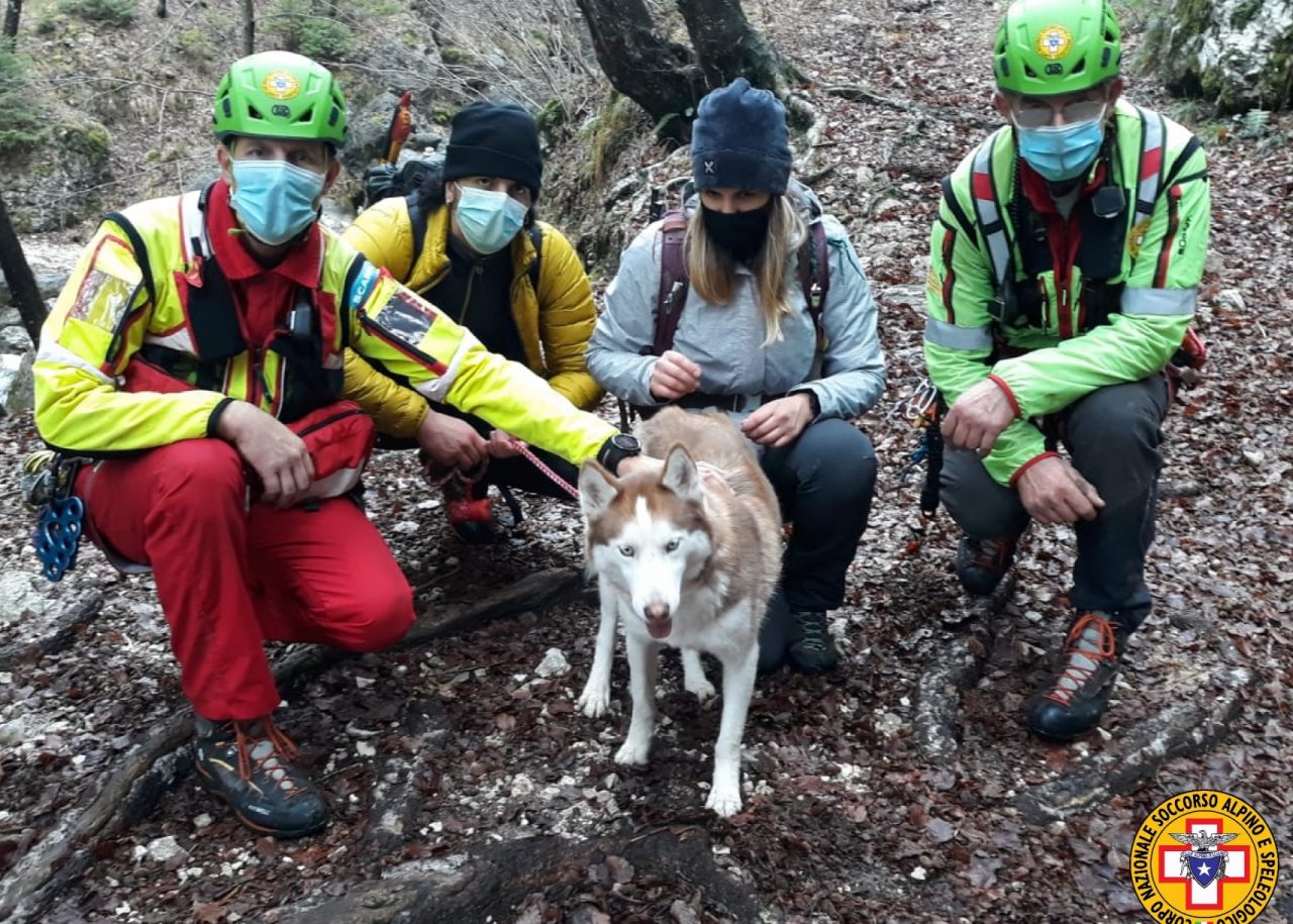 Monte Grappa, Maya scappa durante una passeggiata: salvata dal Soccorso Alpino