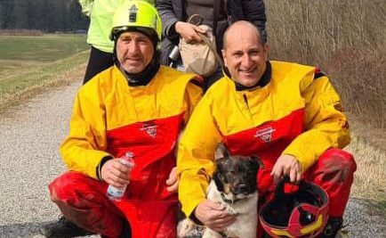 Salvato un cane che era rimasto intrappolato nella tana di una nutria