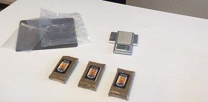 Il fiuto di Corina permette di scovare tre panetti di hashish ad Abano Terme