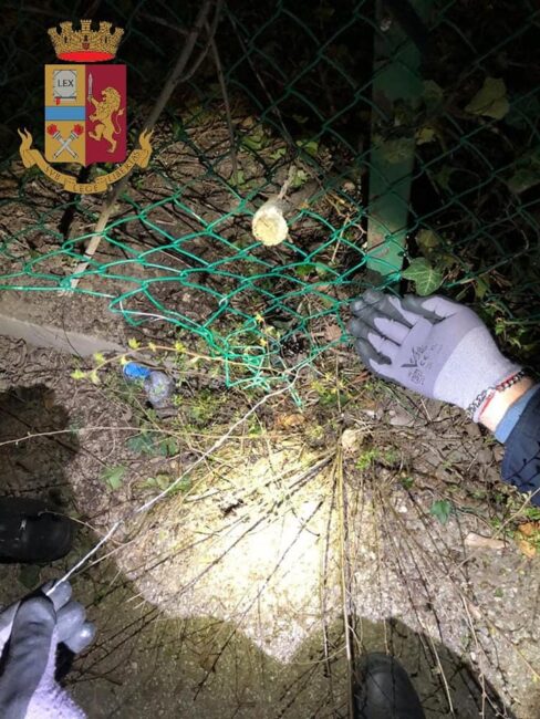 Volpe intrappolata in una rete rischiava di morire soffocata: salvata dai poliziotti