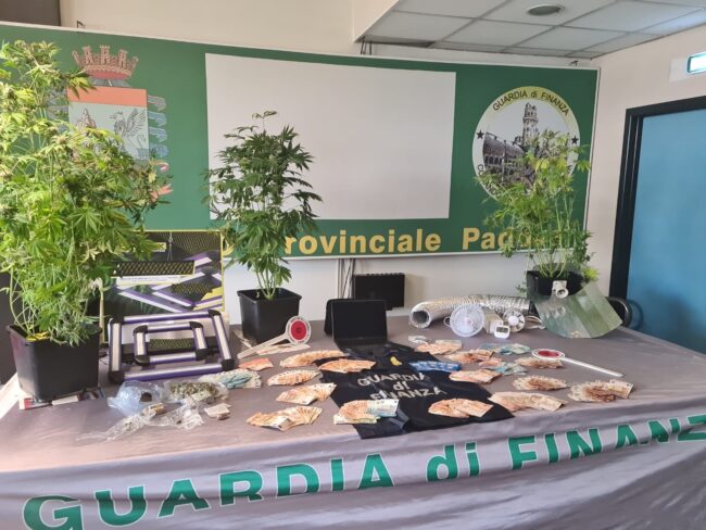 Il video della serra di marijuana coltivata in un appartamento a Padova