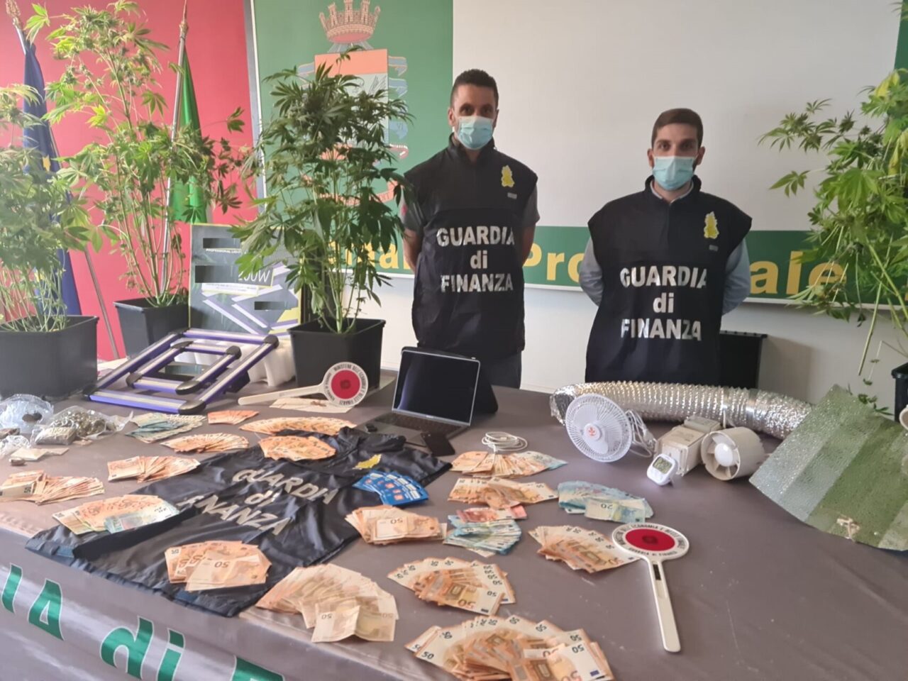 Il video della serra di marijuana sequestrata in un appartamento a Padova