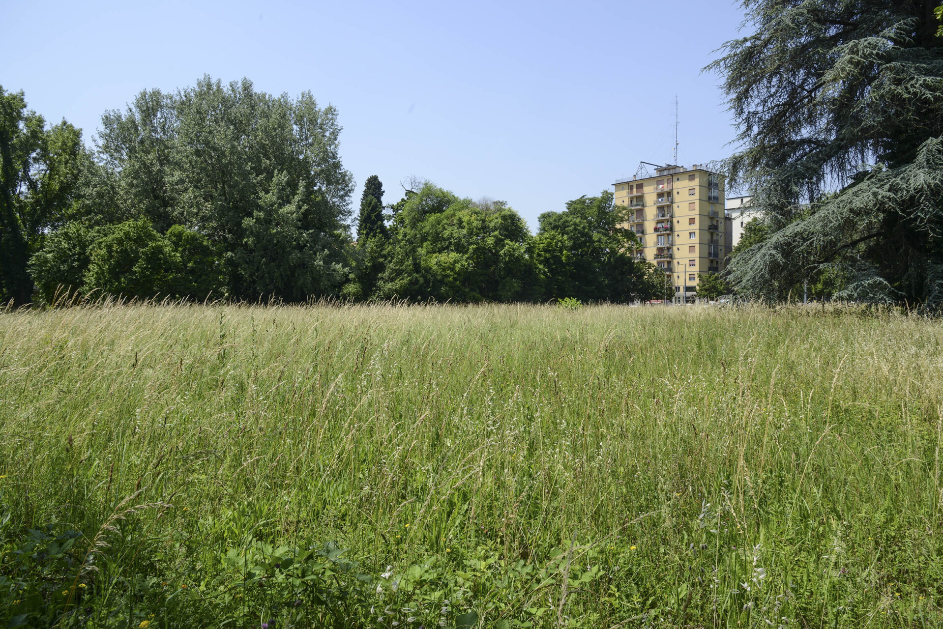 Basta cemento, Padova esempio per tutti: compra area dismessa in centro per farci un parco