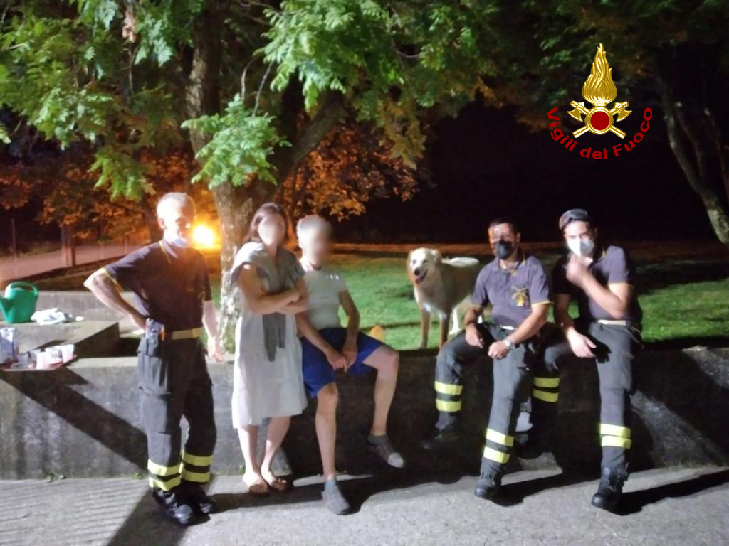 Le foto del labrador rimasto incastrato con la testa nel cancello dell’abitazione