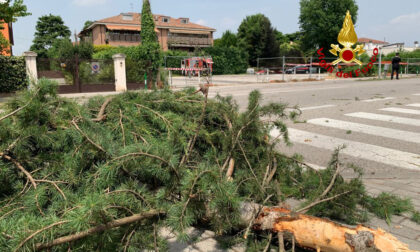 "Strage sfiorata, l'aereo stava entrando in casa": paura tra i residenti dopo la tragedia dell'aeroporto