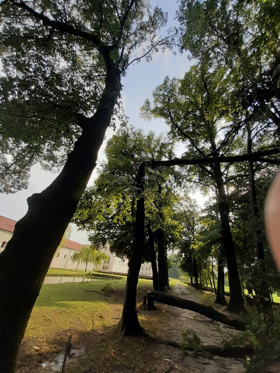 Il maltempo non risparmia nemmeno Villa Contarini a Piazzola sul Brenta, ora la conta dei danni