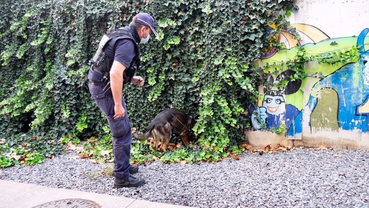 Spaccio, cani poliziotto setacciano Padova