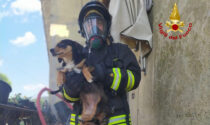 Anziana salvata dalle fiamme con i due cani: le foto dell'incendio a Lozzo Atestino