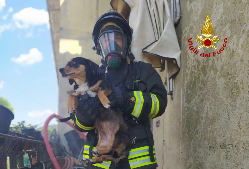 Anziana salvata dalle fiamme con i due cani: le foto dell’incendio a Lozzo Atestino