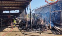 Incendio in una baracca in campagna, feriti due animali