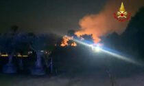 Incendio in un vivaio a San Giorgio in Bosco: bruciato maxi cumulo di ramaglie