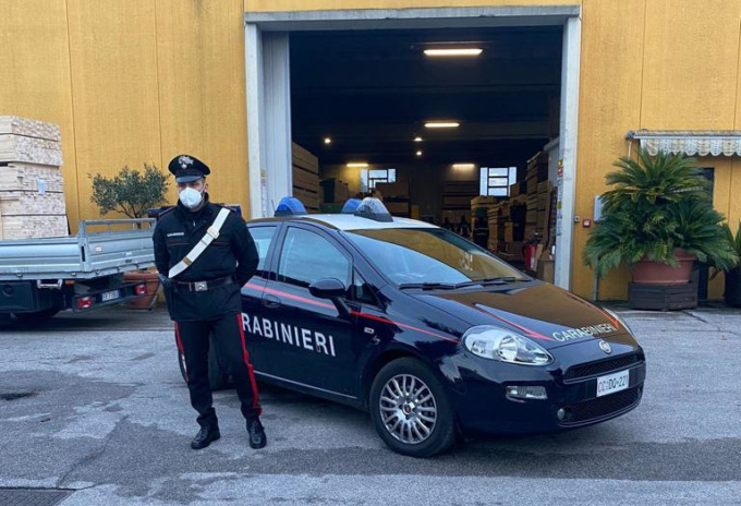 Schiacciata dal bancale di legna caduto dal muletto guidato dal fratello: morta Bianca Maria Martini