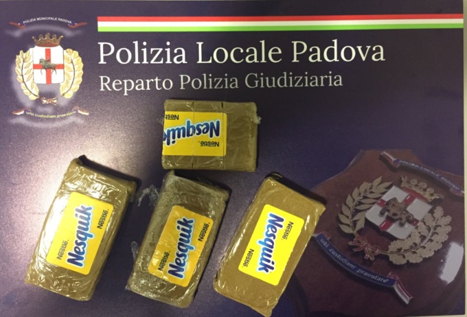 Padova, unità cinofila della Polizia Locale rinviene e sequestra quasi 4 etti di hashish