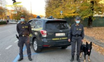 Padova, detenzione e spaccio di droga: due arresti della Finanza