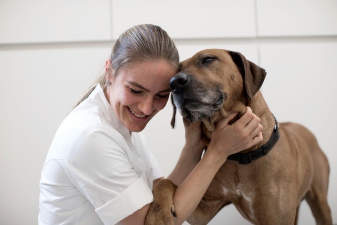 AniCura arriva in Veneto con l’annessione del Gruppo Clinica Veterinaria Arcella