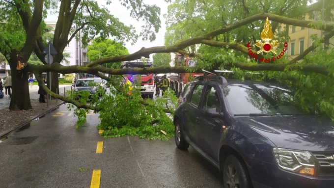 Padova, grosso ramo si stacca da un albero secolare e finisce su un’auto in transito