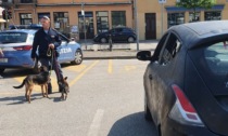 Anziana disperata non trova più l'auto con dentro i suoi due cani: soccorsa dagli agenti