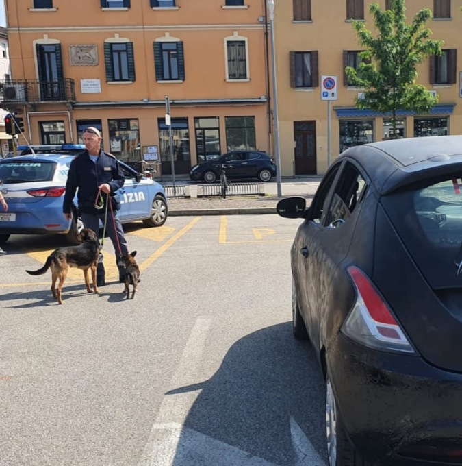 Anziana disperata non trova più l’auto con dentro i suoi due cani: soccorsa dagli agenti