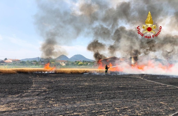 Incendi in provincia di Padova, video e foto dei roghi nel campo d’orzo e nell’area boschiva