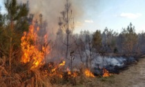 Dichiarato lo stato di grave pericolosità per gli incendi boschivi a Padova