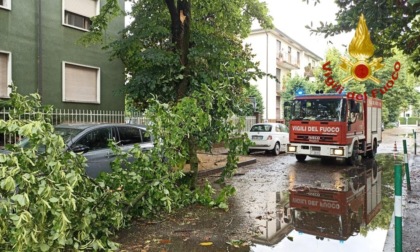 Grandinata a Padova e provincia: le foto dei danni provocati dal maltempo