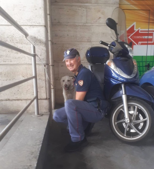 Padova, cane impaurito per il temporale “scappa” in stazione e crea scompiglio sul treno regionale