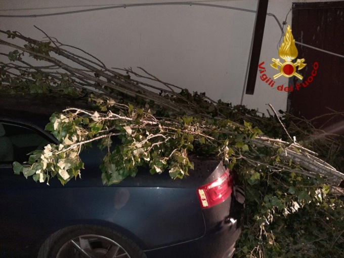 Maltempo Padova: forti raffiche di vento, alberi caduti, numerosi interventi dei pompieri