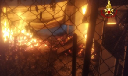 Brugine, incendio nella notte: baracca di legno completamente distrutta