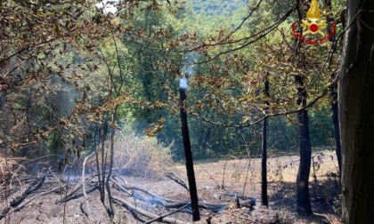 Teolo, le foto dell'incendio sterpaglie che ha sfiorato il bosco