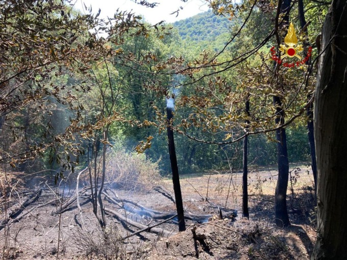 Teolo, le foto dell’incendio sterpaglie che ha sfiorato il bosco