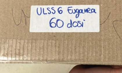 Vaiolo delle Scimmie, all’Ulss 6 Euganea arrivati i primi 60 vaccini: come prenotarlo