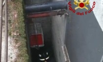 Gattino caduto nella canaletta di scolo di acque reflue, foto e video del salvataggio