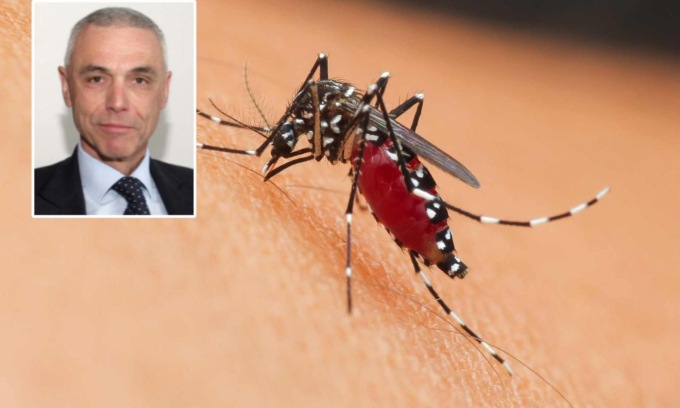 West Nile, Palù ammette: “Abbiamo il vaccino, ma le case farmaceutiche non lo producono”