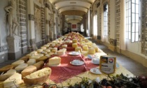 Caseus, più di 500 formaggi a Villa Contarini sabato 1 e domenica 2 ottobre