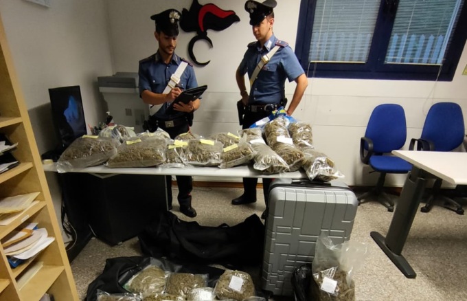 La casa è un “canapaio” e l’odore d’erba guida i Carabinieri verso il nascondiglio: scovati 25 kg di marijuana