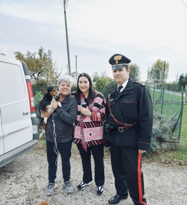 Ares “scappa” di casa e vaga sulla provinciale: salvato dai Carabinieri