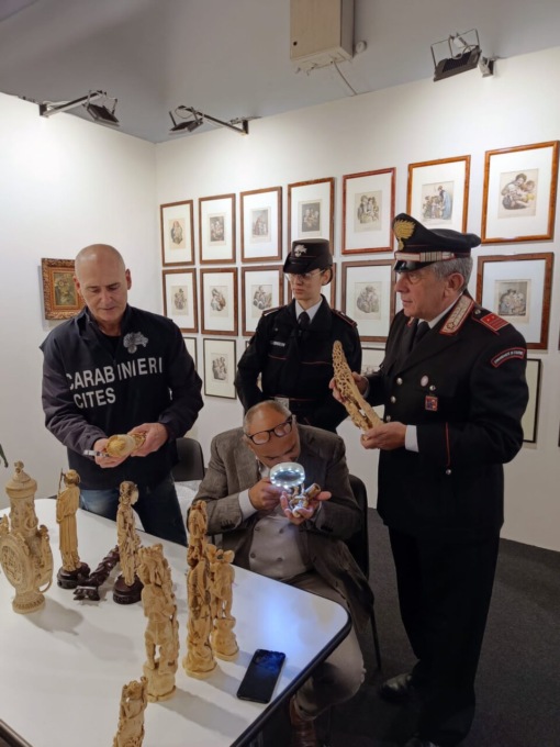 Traffico illegale di avorio: sequestrati 10mila euro di manufatti ad “Antiquaria”